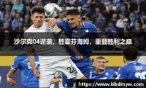 沙尔克04逆袭，胜霍芬海姆，重登胜利之巅