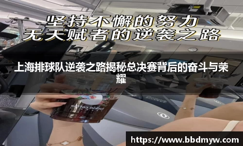上海排球队逆袭之路揭秘总决赛背后的奋斗与荣耀