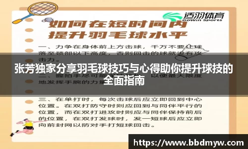 张芳独家分享羽毛球技巧与心得助你提升球技的全面指南